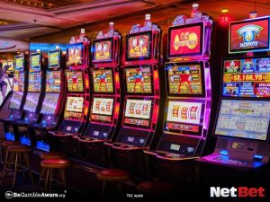 l55|Conheça bingo online com torneios exclusivos Teste Hoje